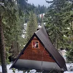 Vikendica Rajvosa Vlasic Šišava