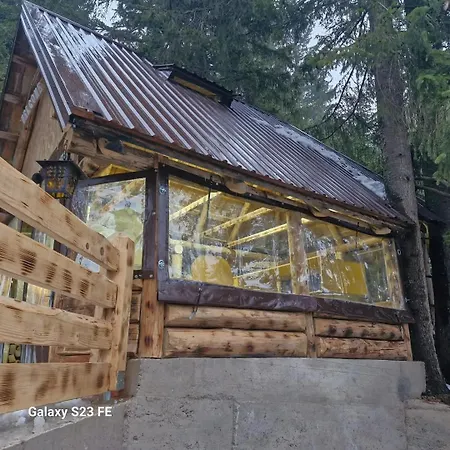 Vikendica Rajvosa Vlasic בית נופש *